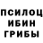 Псилоцибиновые грибы Cubensis Anastasya Fertikova