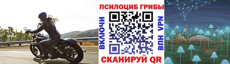 хочу наркоту  Отрадный  Галлюциногенные грибы мицелий 