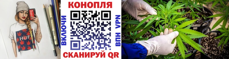 Канабис конопля  Отрадный 